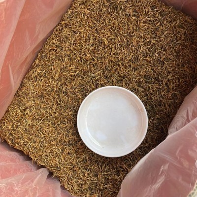 云南蜜香金丝滇红茶散装蜜香金芽批发2025年头春细红茶叶 市场厂家 1斤图3