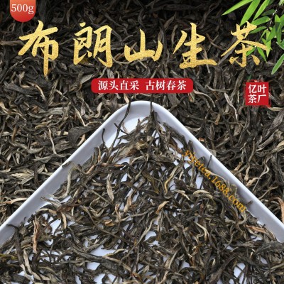 布朗山古树普洱生茶散茶500g批发2025头春勐海茶区生普洱散装茶叶 1斤