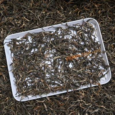 布朗山古树普洱生茶散茶500g批发2025头春勐海茶区生普洱散装茶叶 1斤图3