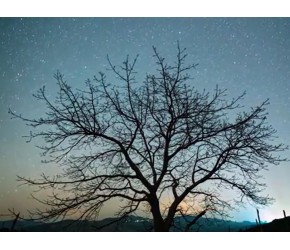 震撼！摄影师蹲守抚仙湖近两月 拍下璀璨星河