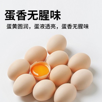 可生食鸡蛋30枚1.5kg大蛋源头工厂顺丰一件代发可生食无抗认证 1盒图3
