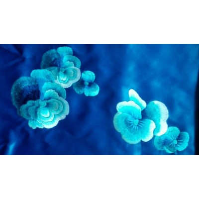 厂家供应手工苏州刺绣 手工绣花 化纤服装刺绣 1件图4