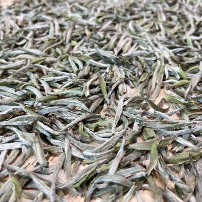 茶叶白茶白毫银针福鼎大毫茶高山原料毫香水甜产地厂家直批500g 2斤