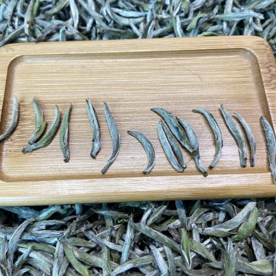 茶叶白茶白毫银针福鼎大毫茶高山原料毫香水甜产地厂家直批500g 2斤图3