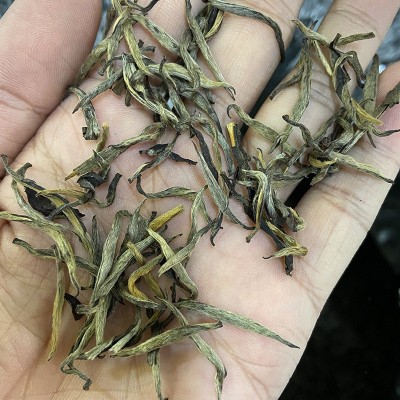 茶叶白茶白毫银针高山原料老年份陈香水甜产地厂家直批500g 1斤图2