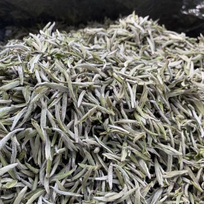 2024年福鼎高山白茶白毫银针春茶日晒散茶批发厂家直销 2斤