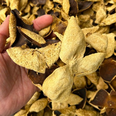 新会老陈皮 生晒陈皮干橘皮干广东特产500g散装厂家批发代发  1斤图3