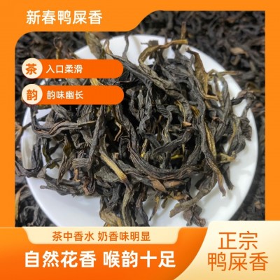 乌龙茶 新春鸭屎香 正宗鸭屎香 500g罐装袋装 潮州凤凰单丛茶春茶 1斤图4
