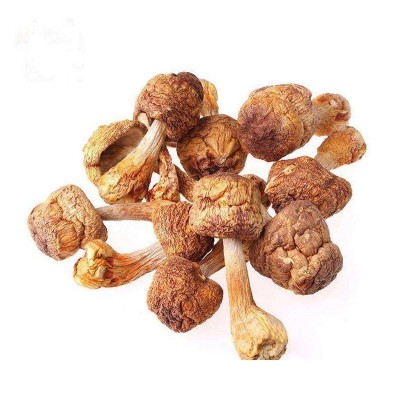 姬松茸干货 特产 松茸菌菇松茸菇干蘑菇姬松茸菌炖汤汤料批发 2件图5