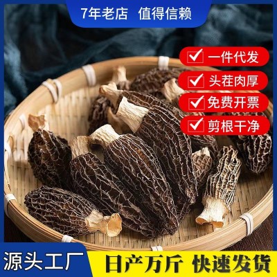 【自有工厂】羊肚菌干货批发头茬剪脚无柄羊肚菌散装500g煲汤材料 1件图2