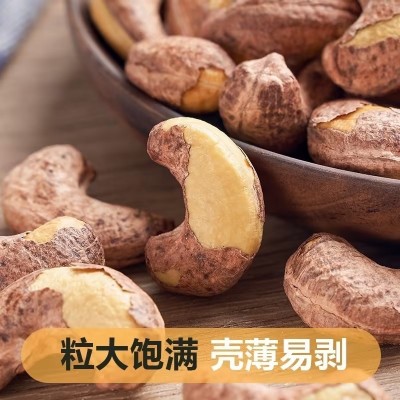 腰果 1件