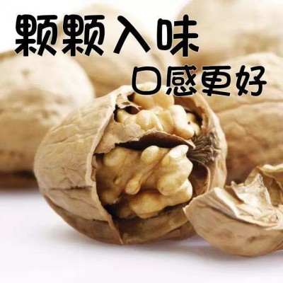 新疆185纸皮核桃2024新货原味无添加薄皮2500g阿克苏原产薄皮核桃 1袋图4