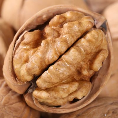 新货新疆纸皮核桃185纸皮核桃原味饱满手捏核桃薄皮核桃一件代发 2箱