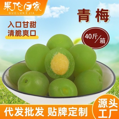 40斤装青口梅酸甜爽口脆青梅新鲜蜜饯大颗青梅果开胃果脯箱装零食 1箱