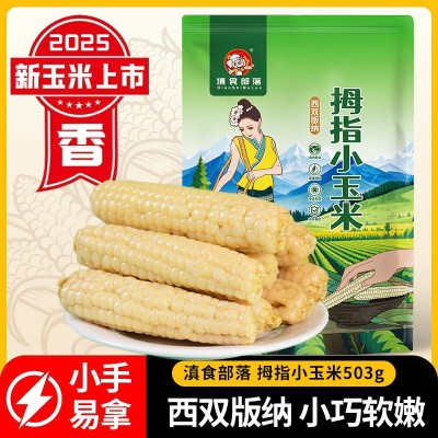 新玉米云南西双版纳拇指玉米新鲜白糯迷你手指玉米儿童早餐代发 1千克