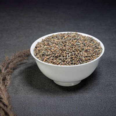 小黑麦新黑小麦带皮黑小麦粒批发 黑麦 米食用黑麦粒种子杂粮散装 2千克