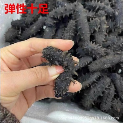 酒店专用大火候半干海参非干货拉缸盐海参非即食海参礼盒厂家批发 2件图2