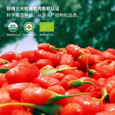早康中宁有机枸杞宁夏枸杞子特优级源头工厂批发有机枸杞透明袋装 1袋图3