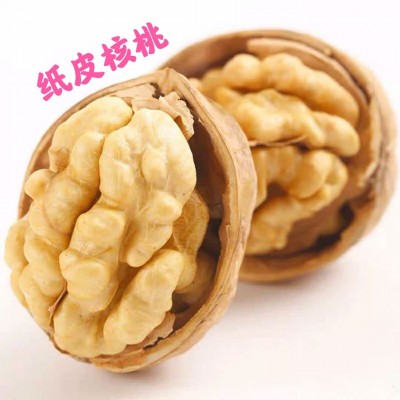 新疆特产185纸皮核桃手剥核桃500克坚果休闲零食 2袋