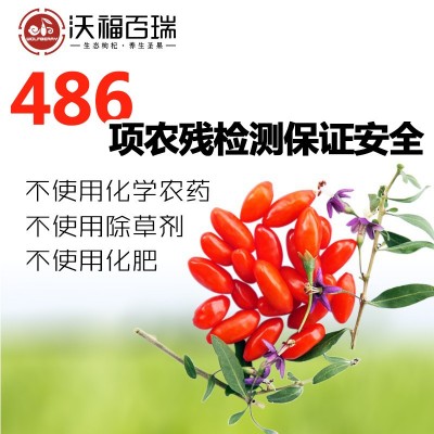 沃福百瑞宁夏枸杞干果免洗干嚼罐装无农残苟杞子210g源头工厂直供 1罐图4
