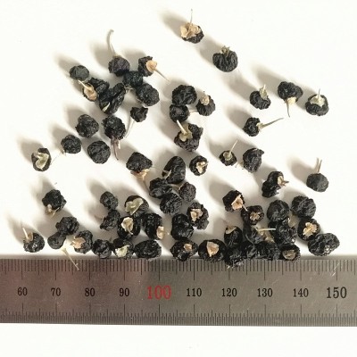 青海黑枸杞批发 新货非野生宁夏黑枸杞滋补散装大果中果小果500g 1件图3