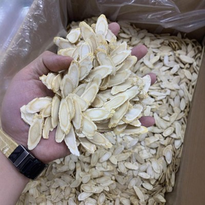 花旗参瓜子片加种西洋参厚切瓜子片花旗参厚片长白山花旗参大片 2斤图2