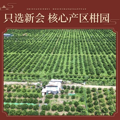 十年新会陈皮中药材正品源头厂家泡茶干老陈皮批发干仓生晒大红皮 1件图3
