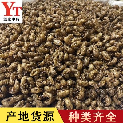 蝉蜕 中药材供应批发蝉蜕水洗 实物拍摄 2斤