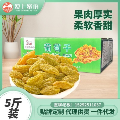 漠上果园葡萄干新疆吐鲁番尾货深加工发货休闲零食果干量大价优 2箱