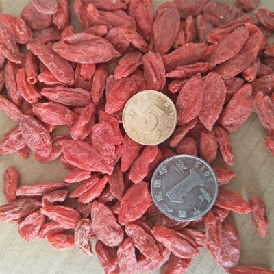 佑康泰枸杞子500g/袋新货枸杞子宁夏正宗枸杞子泡茶泡酒源头批发 1袋图3