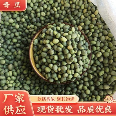 现货批发东北农家青豆 小粒青豆散装五谷杂粮小青皮豆1斤豆子 2件图2