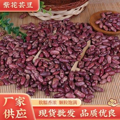 东北紫花芸豆50斤农家椭圆形芸豆奶花豆红花五谷杂粮批发紫高蛋白 1件