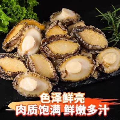 鲍鱼肉鲜活冷冻新鲜特大号去壳冰鲜速冻小鲍鱼肉海鲜火锅食材商用 3斤图2