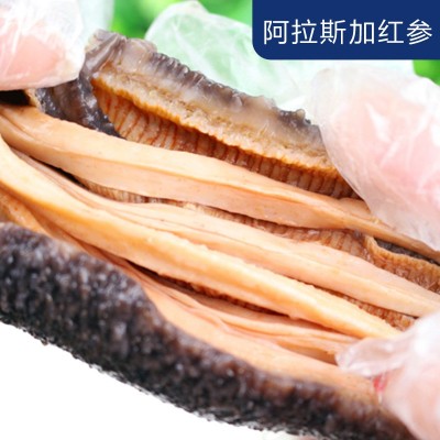 批发供应大量现货即食美国加州红刺参野生冰鲜熟酒店直供500g红参 2件图4