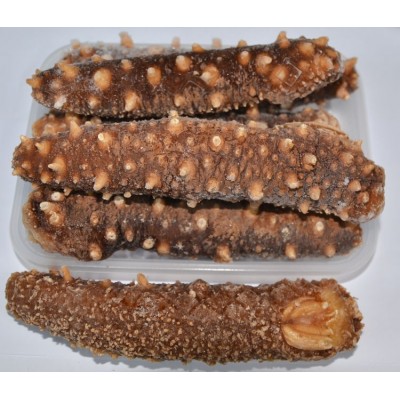 批发供应大量现货即食美国加州红刺参野生冰鲜熟酒店直供500g红参 2件图5