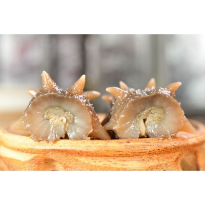 厂家批发淡干渤海湾大连辽刺参干货50g散装非即食酒店食材一件代 2件图4