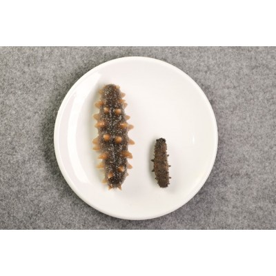 厂家批发淡干渤海湾大连辽刺参干货50g散装非即食酒店食材一件代 2件图2