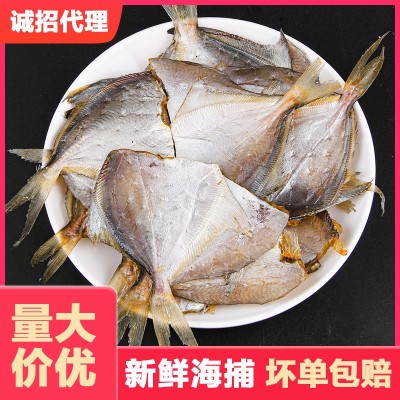 源头厂家现货批发烧烤调味马步鱼片淡晒银针鱼棒头鱼去头鲳鱼鱼干 1箱图2