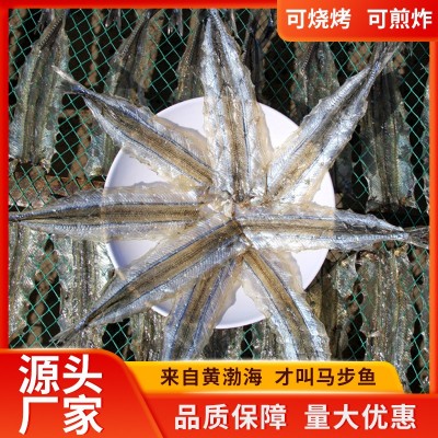 多种规格海鲜干货烧烤用马步鱼干源头厂家现货整箱批发量大价优 1箱