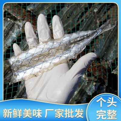 多种规格海鲜干货烧烤用马步鱼干源头厂家现货整箱批发量大价优 1箱图3