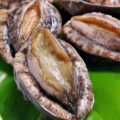 厂家直供海捕野生零添加带壳深海大鲍鱼餐饮供应8头大鲍鱼 2箱图3