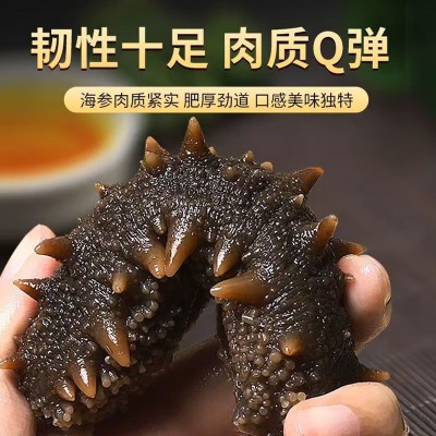 大连大海参即食野生海参鲜活冷冻海参非大连辽参淡干海参批 5盒图3