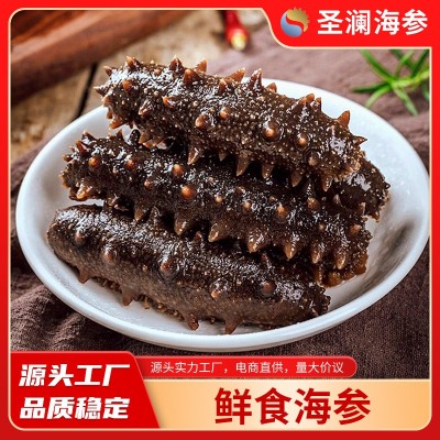 野生大连海参即食海参鲜食辽刺参新鲜速食非淡干海参一件代发 2盒