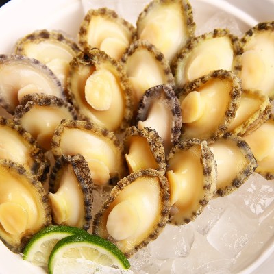 批发新鲜鲍鱼肉带壳冷冻大鲍鱼海鲜水产商用小鲍鱼加热即食捞汁饭  2斤图2