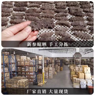 大连底播海参多年淡干海参高泡发辽刺海参深海捕捞500g礼盒干海参 1盒图4