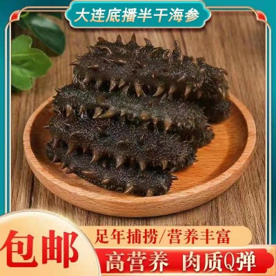 薄氏大连半干海参500g非淡干即食水产干货底播辽刺参滋补辽参优选 1盒