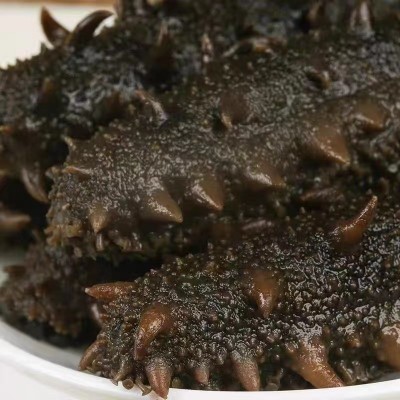 薄氏大连半干海参500g非淡干即食水产干货底播辽刺参滋补辽参优选 1盒图2