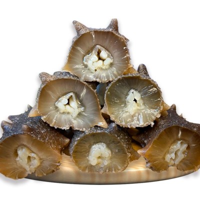 大连鲜食辽参刺参 深海即食海参 非干货冷冻海参工厂批发即食海参 1斤图5