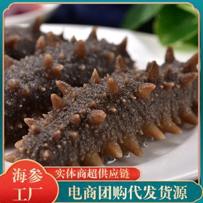 大连鲜食辽参刺参 深海即食海参 非干货冷冻海参工厂批发即食海参 1斤