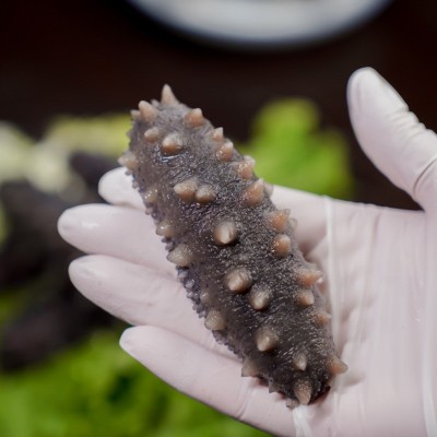 深海底播大连海参9~12头高压即食独立包装参体饱满可代发营养鲜食 1件图2